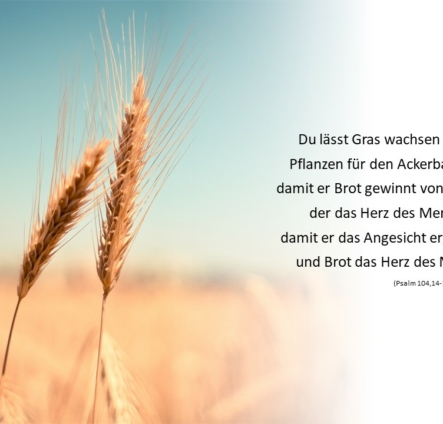 Erntedank an der Ketteler-La Roche-Schule